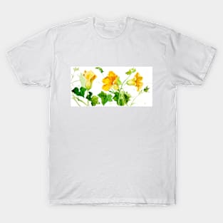 Yellow Squash Pumpkin Flowers, Early 1900s Sophia Crownfield T-Shirt